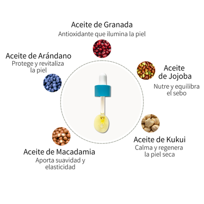 Sérum de noche calmante