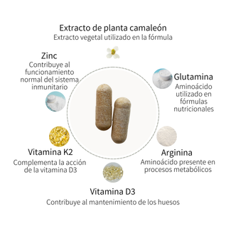 Complejo Inmunidad