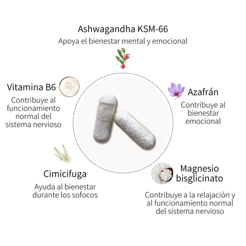 Complejo Serenidad